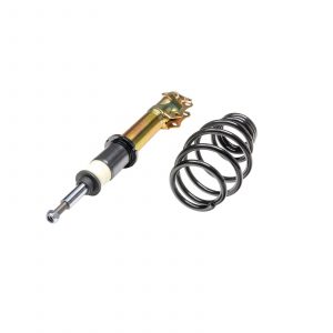 Suspensión roscada DTS Line Seat Córdoba 6K2 (99-02)