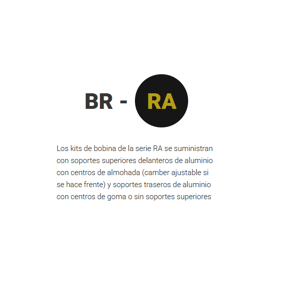 BR-RA Suspensión roscada BC Racing (BR-RA) VW Golf 5 / Ø 55mm