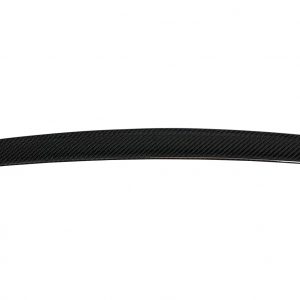 Alerón Trasero BMW Serie 5 F10 10-16 M5 Carbono