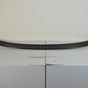 Alerón Trasero BMW X6 F16 X6 14-17 Carbono