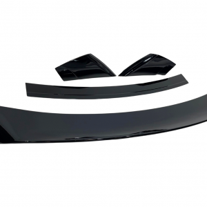 Alerón Ford Mustang 2015-2020 Look GT350 II Negro brillante