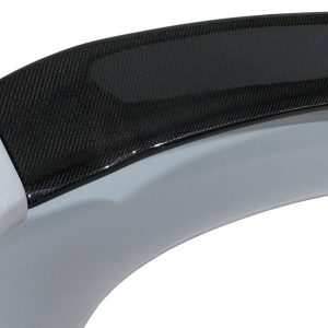 Alerón Honda Civic 2006-2014 Fn2 Type Mugen Flat Carbono