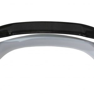 Alerón Honda Civic 2006-2014 Fn2 Type Mugen Flat Carbono