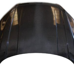 Capó Carbono Audi TT 8J 2006-2014