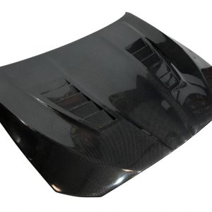 Capó Carbono BMW F10 / F11 2010-2016 Look GTR2  Con Toma Mod. II