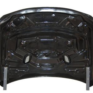 Capó Carbono BMW F30 / F31 / F32 / F33 / F36 Look GTR