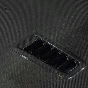 Capó Carbono Ford Focus 2008-2011 RS C/T