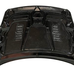 Capó Carbono Ford Focus 2008-2011 RS C/T