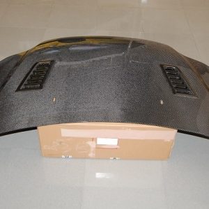 Capó Carbono Ford Focus 2012-2015 RS