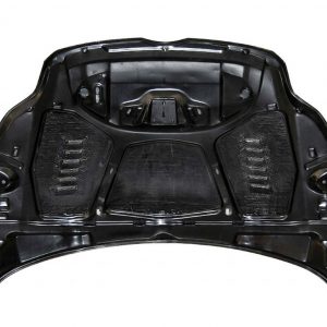 Capó Carbono Ford Focus 2012-2015 RS