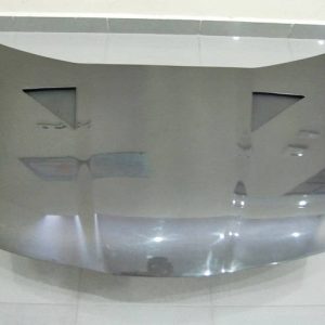 Capó Carbono Honda Civic ’06 Typer Mugen