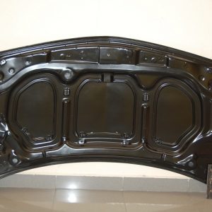 Capó Carbono Renault Megane 2003 S/T