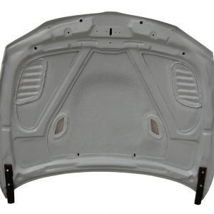 Capó De Fibra BMW E81 / E82 / E87 / E88 Look M3 GTR