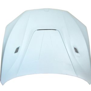 Capó De Fibra BMW X5 F15 F85/X5M Hood BMW F16 X6 F86
