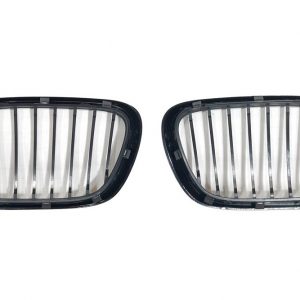 Parrillas BMW X5 E53 99-03